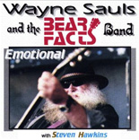 Wayne Sauls album cover